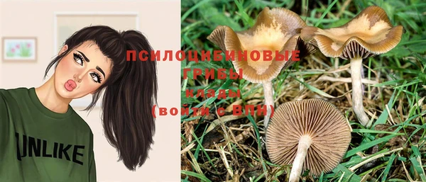 мет Лихославль