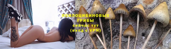 МДПВ Липки