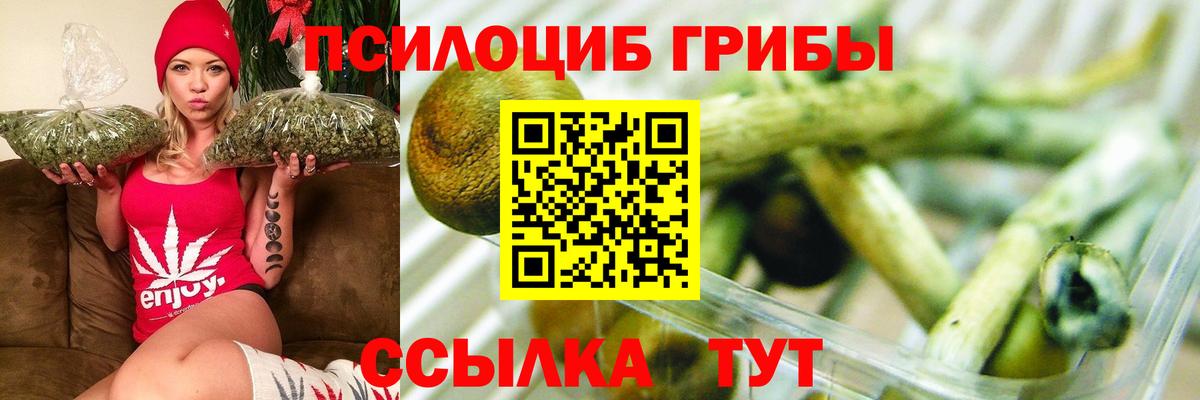 Псилоцибиновые грибы Psilocybine cubensis  Нижнеудинск  Псилоцибиновые грибы Cubensis 