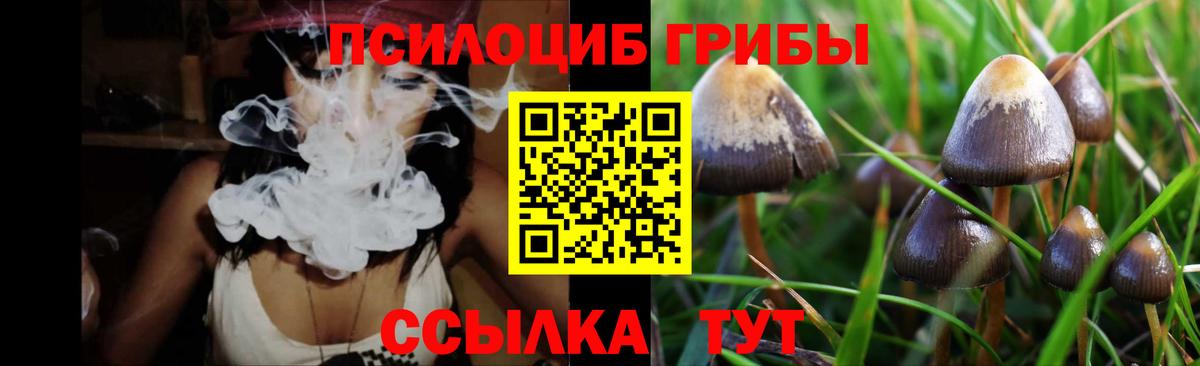 Нижнеудинск  Галлюциногенные грибы Cubensis  Вход с VPN  Галлюциногенные грибы прущие грибы 